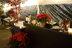 HOLIDAYS AT THE SORRENTO